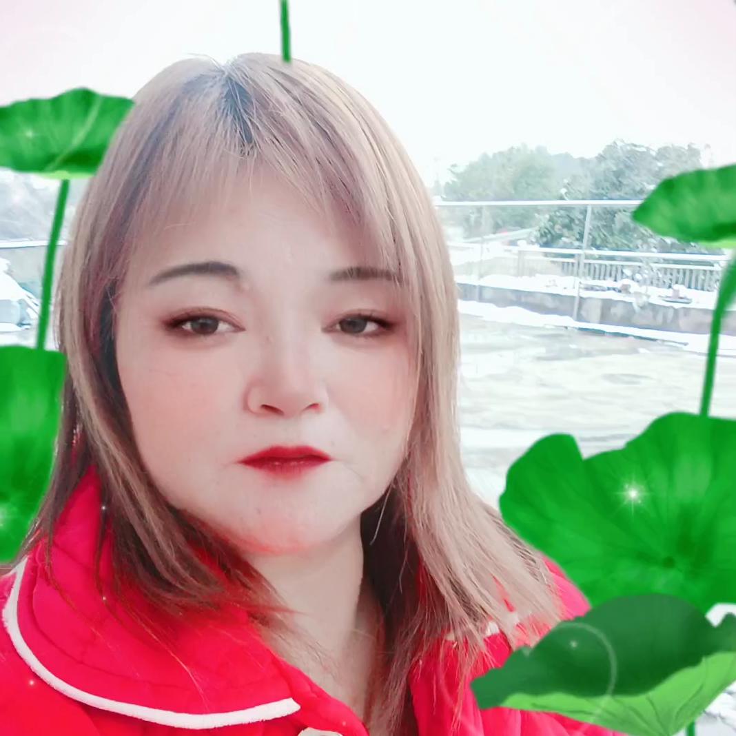 🌷🌹何仙姑🌹🌷