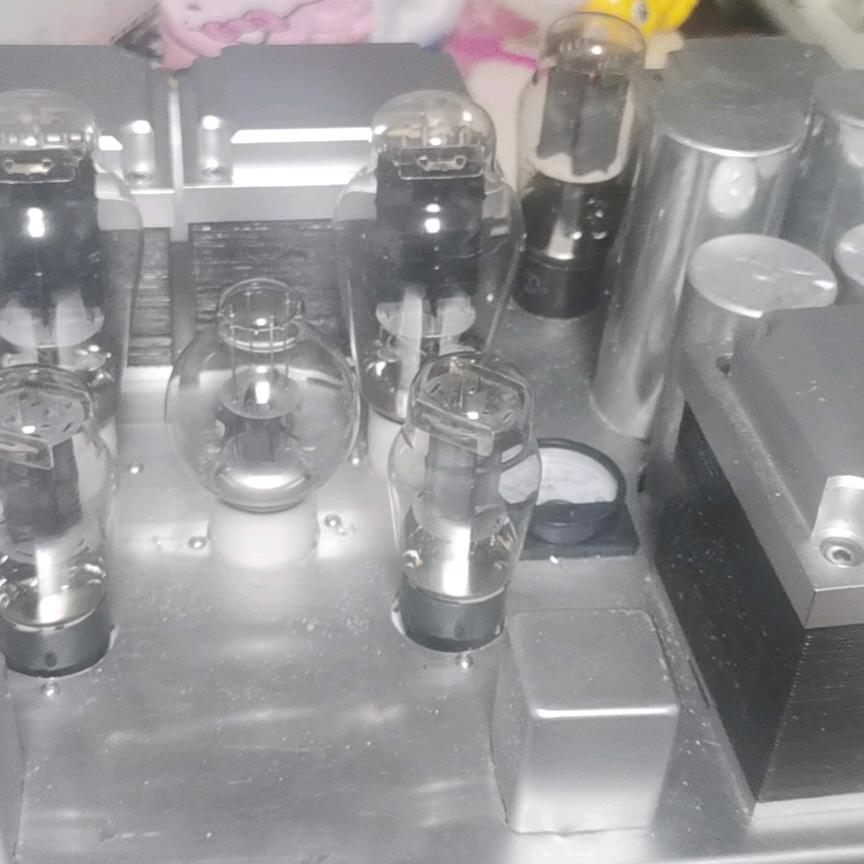 宁波一胆之声
