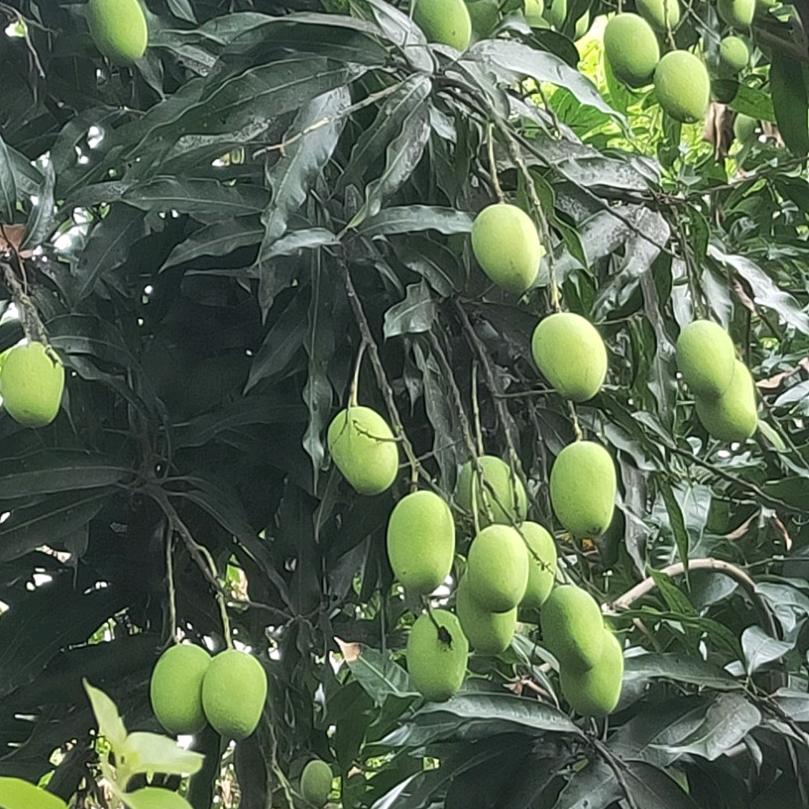 邂逅《请勿连赞》