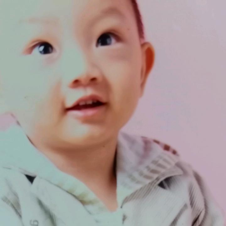 小强子