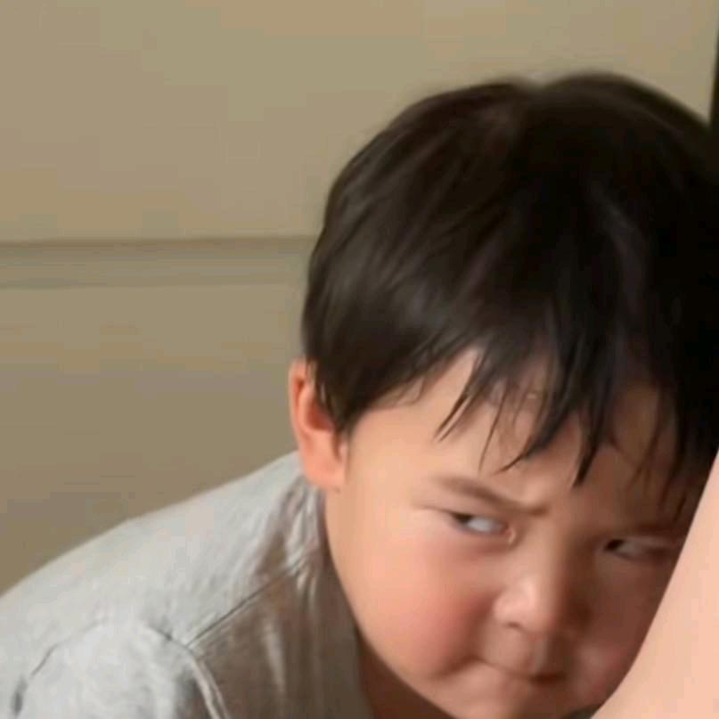 麋鹿也会迷路