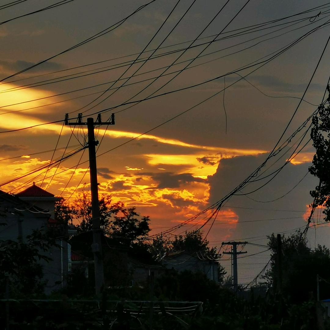 坐在电视前嗑转莲