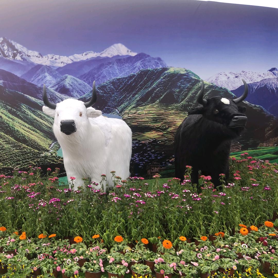 农夫  山泉  有点田