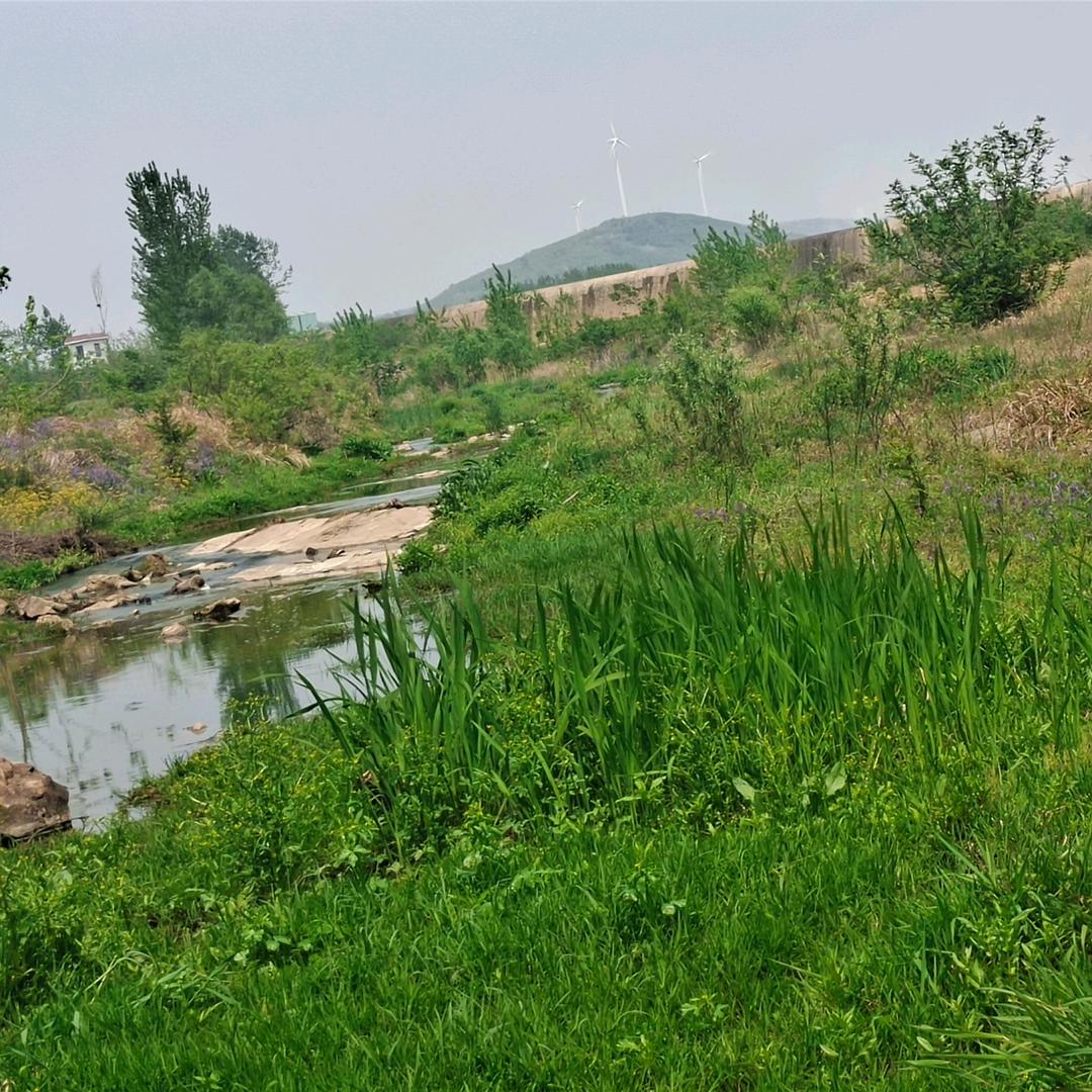 用户7266276718280四宝