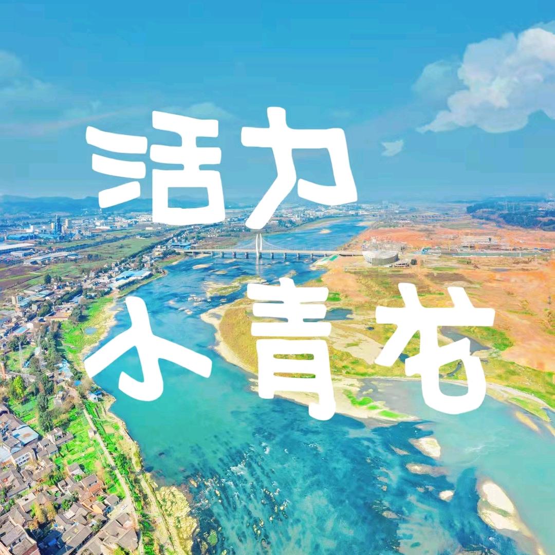 活力小青龙