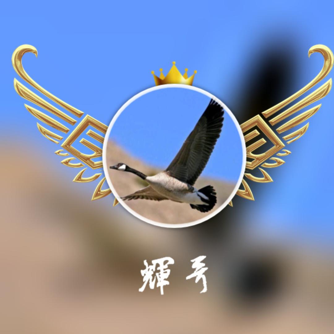 辉(⁎⁍̴̛͂▿⁍̴̛͂⁎)哥