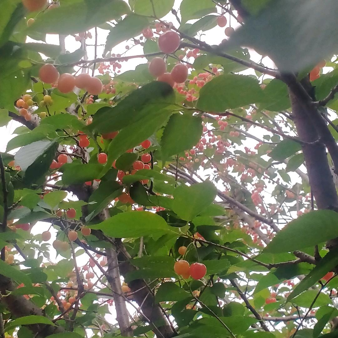 擦肩🍒而过