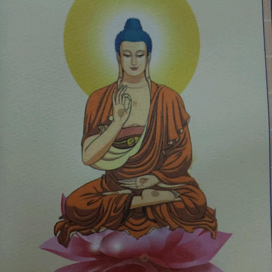 行♬︎*(๑ºั╰︎╯︎ºั๑)♡︎