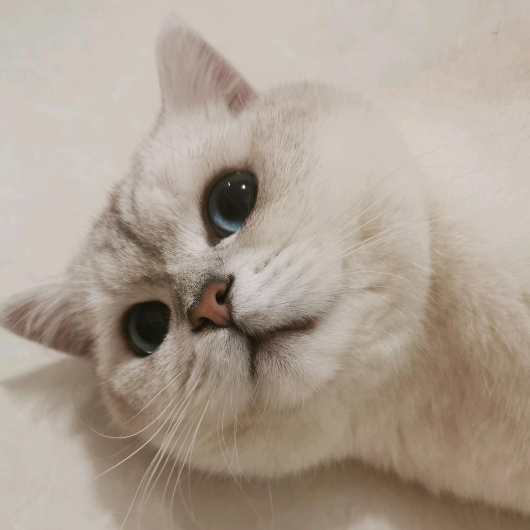 咔咔咔啦