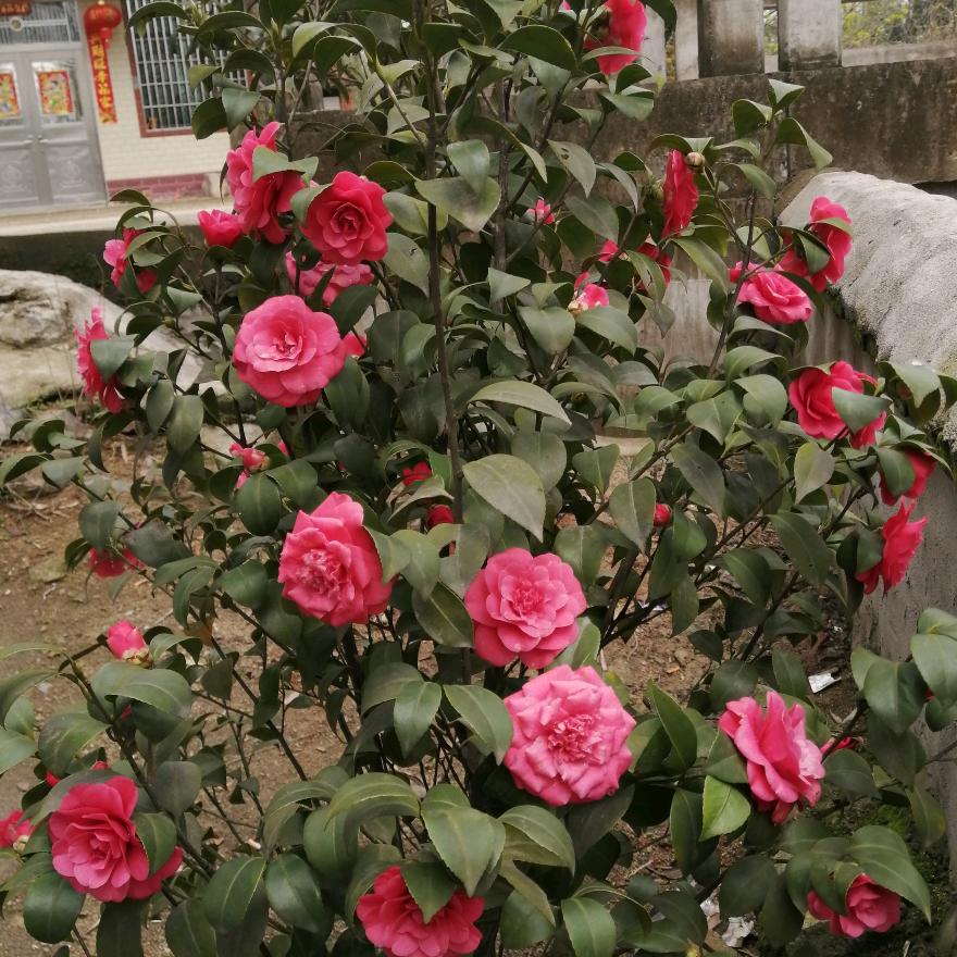 欧阳建英