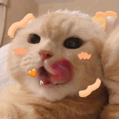 小珏【日语学习专用账号】