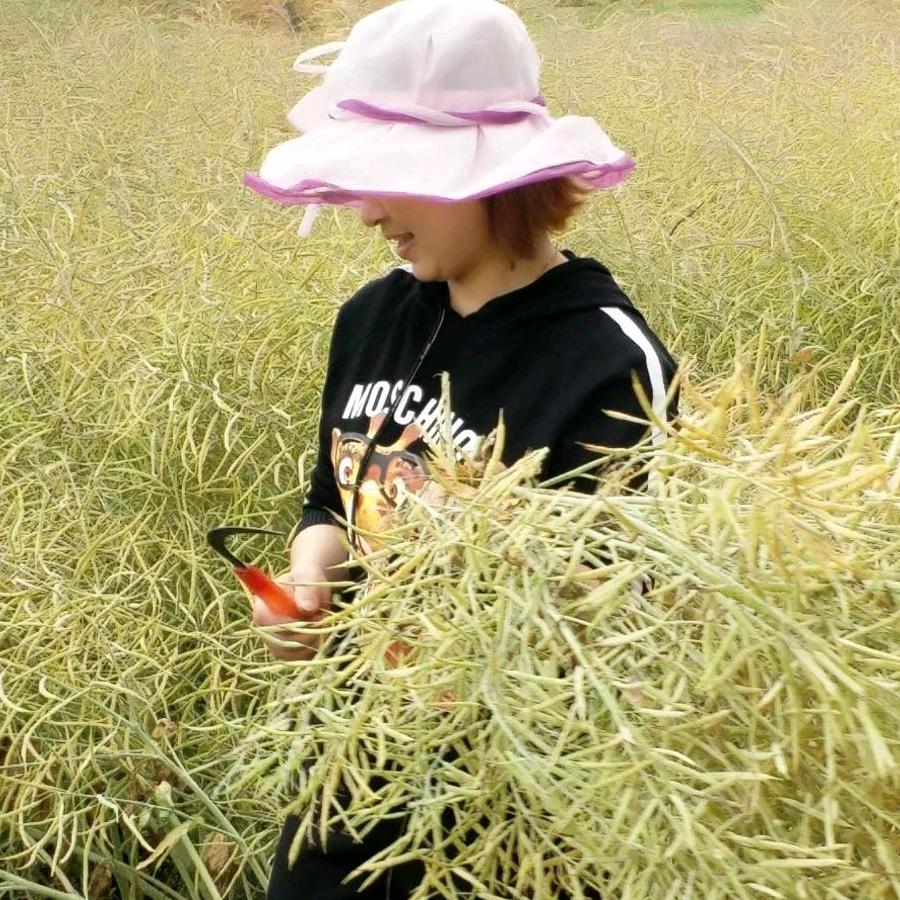 护你周全（华华）