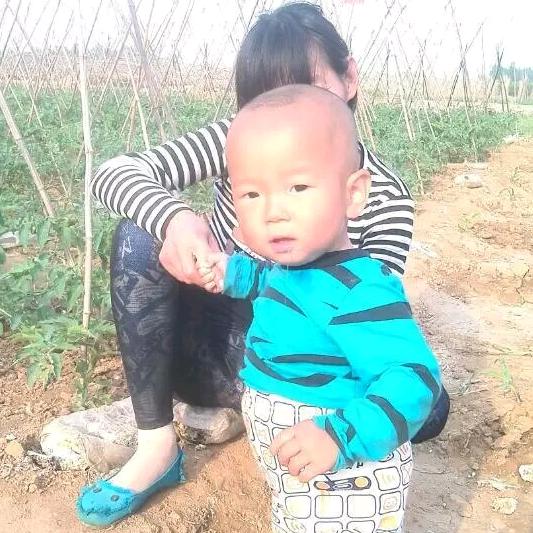 打不死的小强