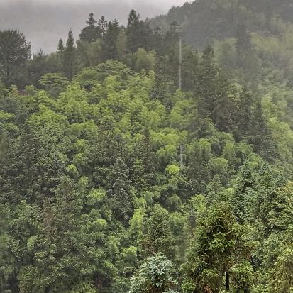 专业清洗太阳能也可以换发热管