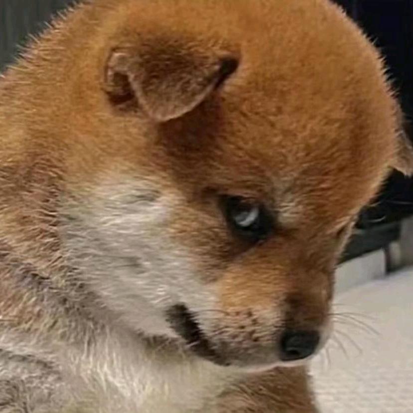奋   斗