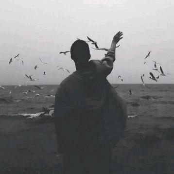 坐看风云起