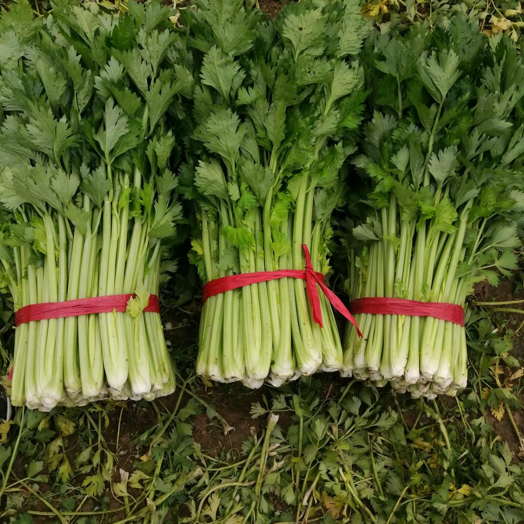 蔬菜瓜果代收，梅