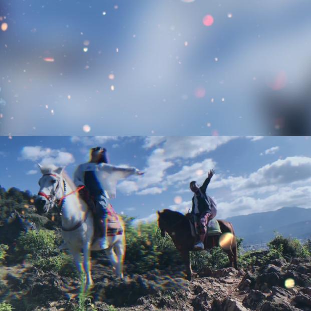 家有作妖臭🐶🐶