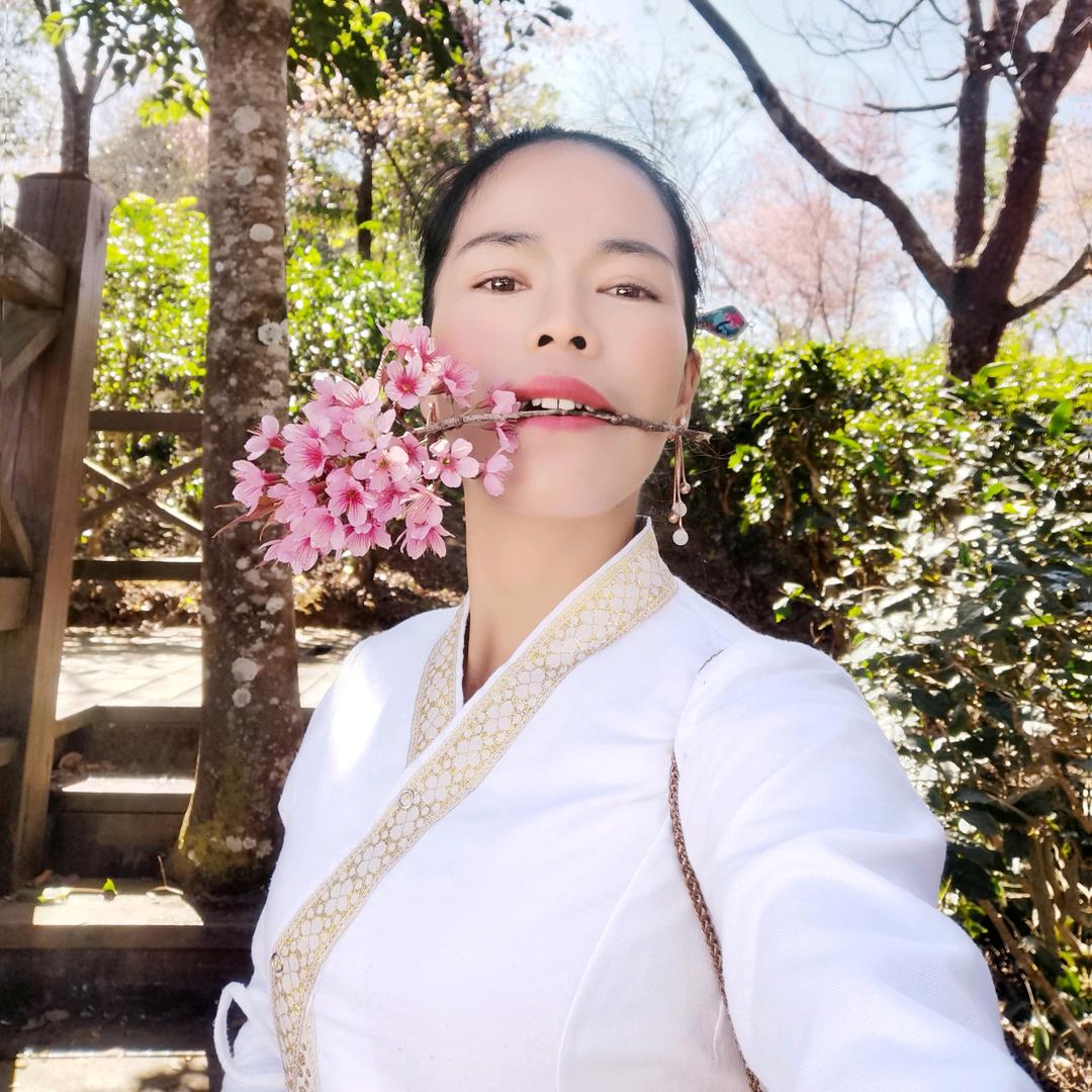 景迈玉穗茶叶