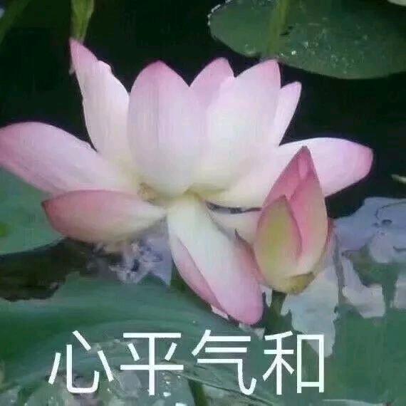 顺其自然