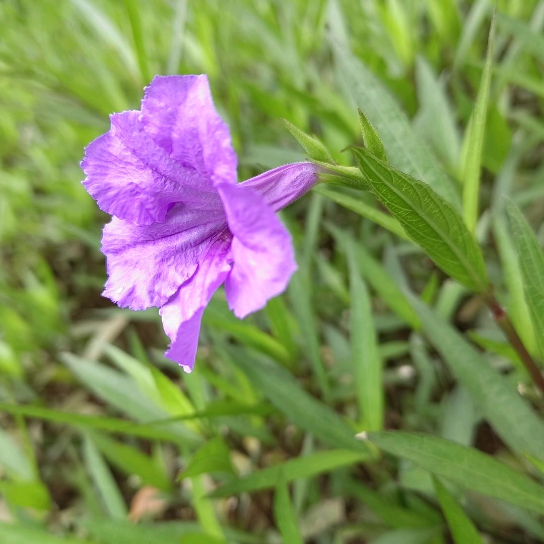 好口味宝藏小吃