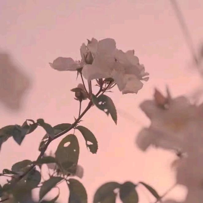 一笑而过