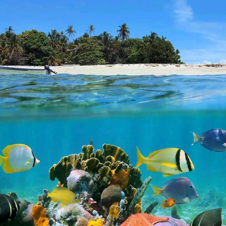 南来村乡村超市