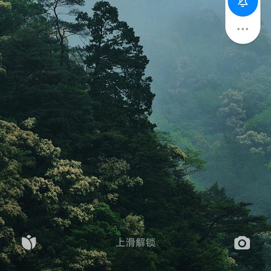 落花轻舞