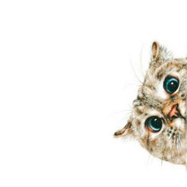 抖音凑数的日子