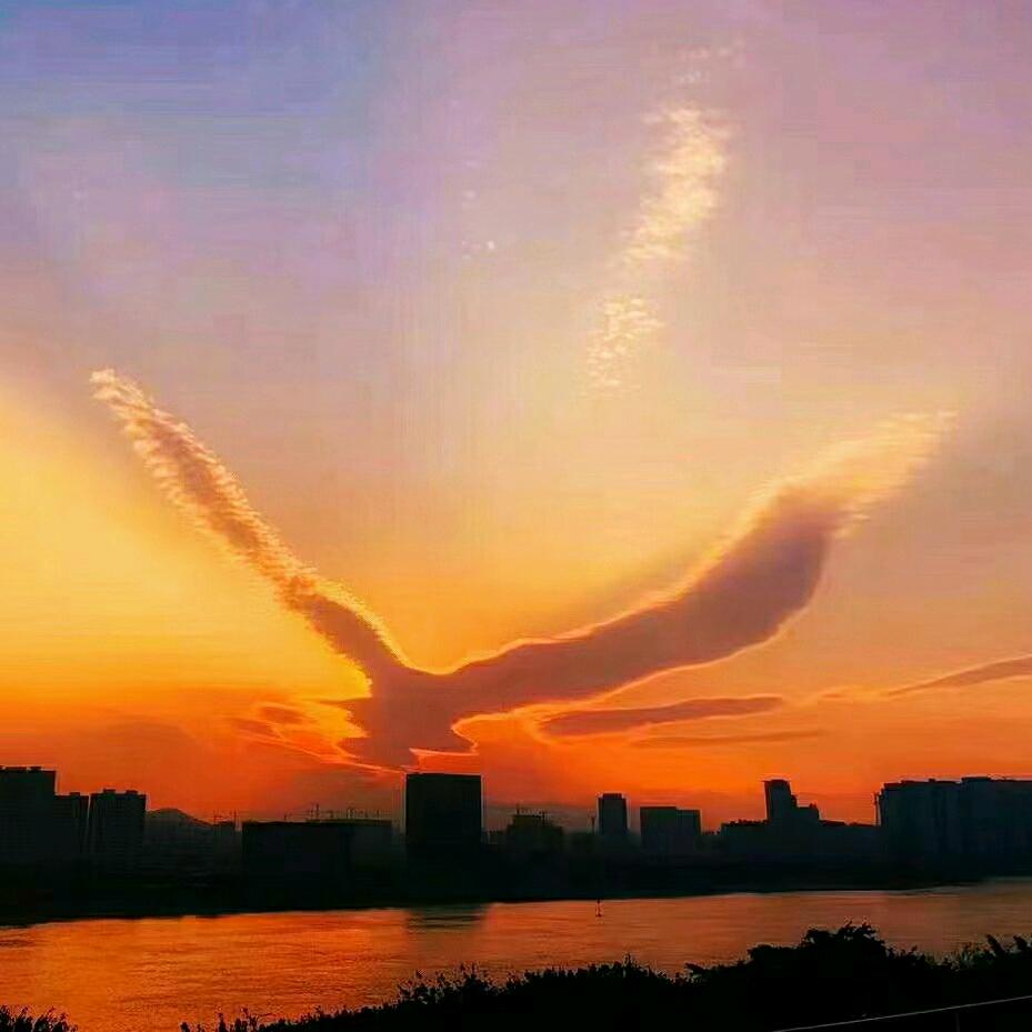 风之旅人