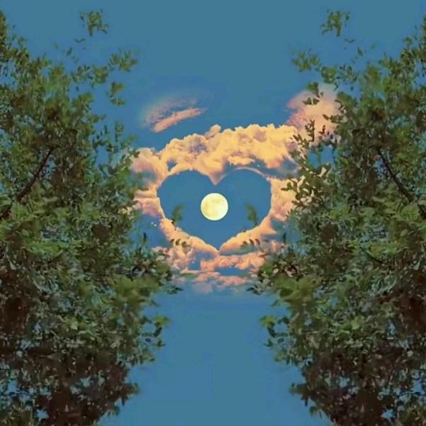 太阳‘