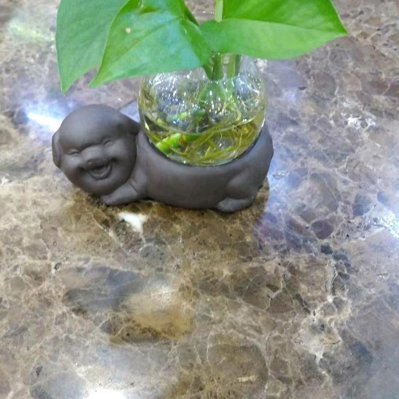 小草