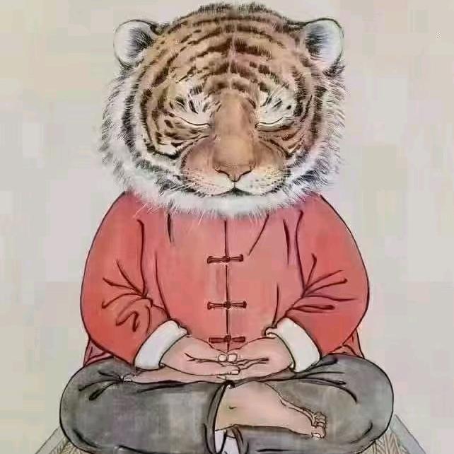 行走的荷尔蒙