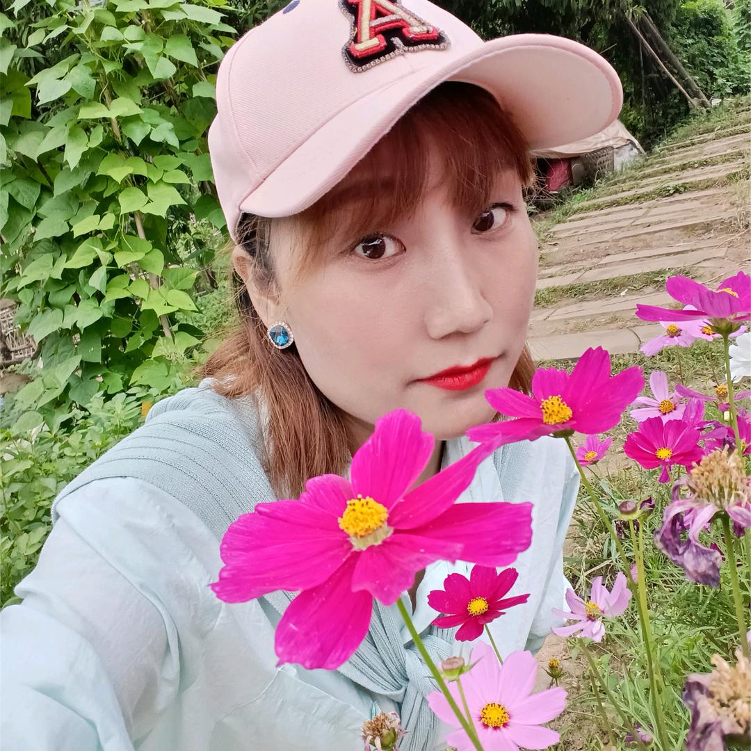 云南飞杨