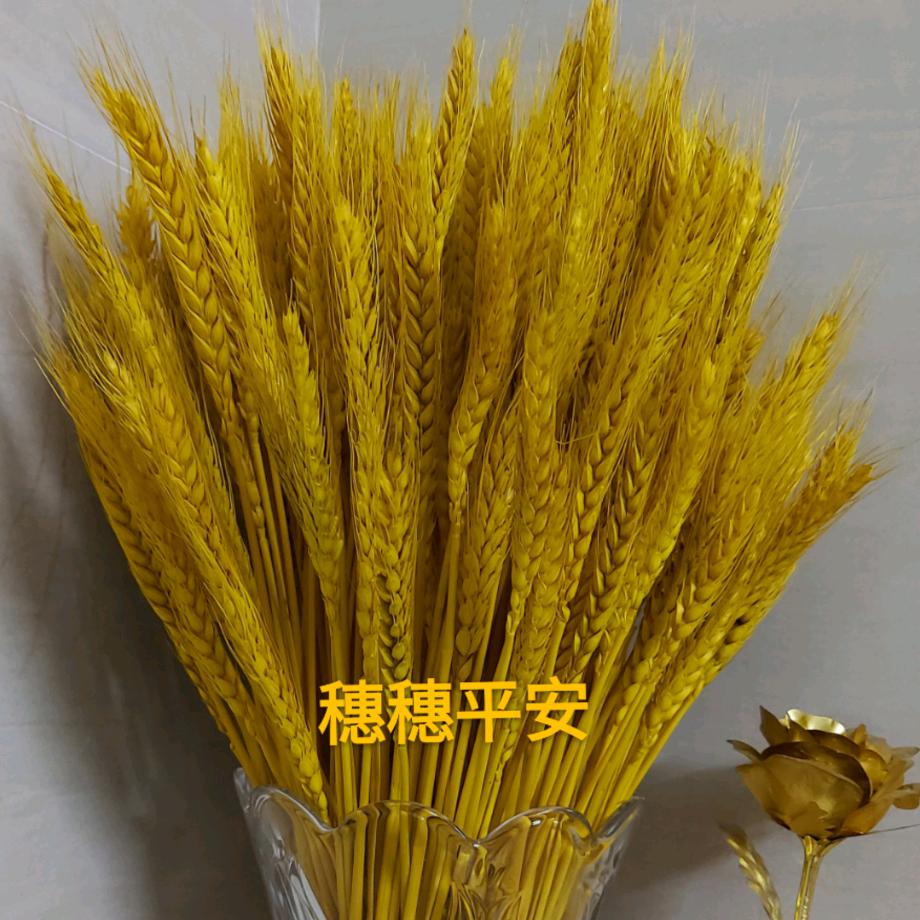 标准