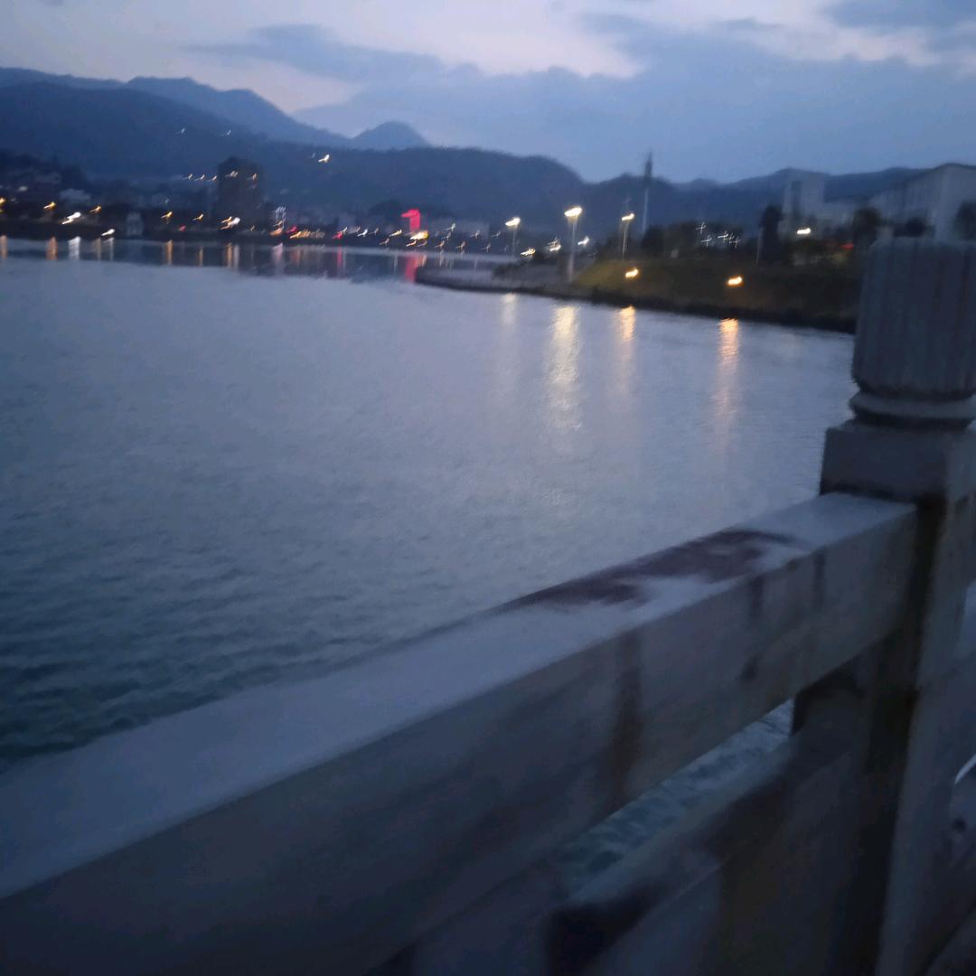 严冬寒柳