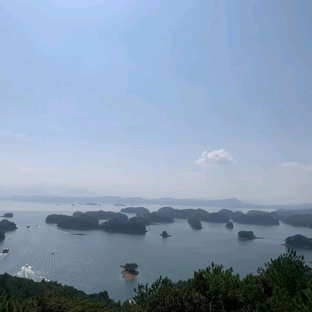颇哥