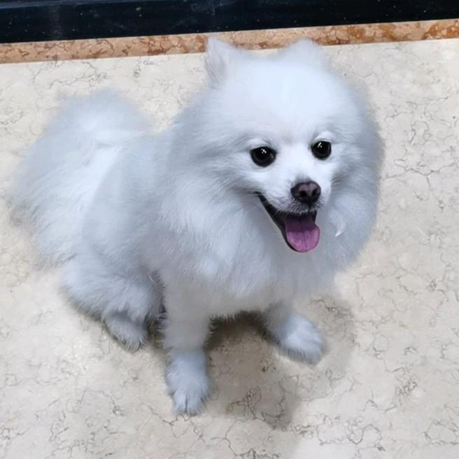 网恋被骗八千块