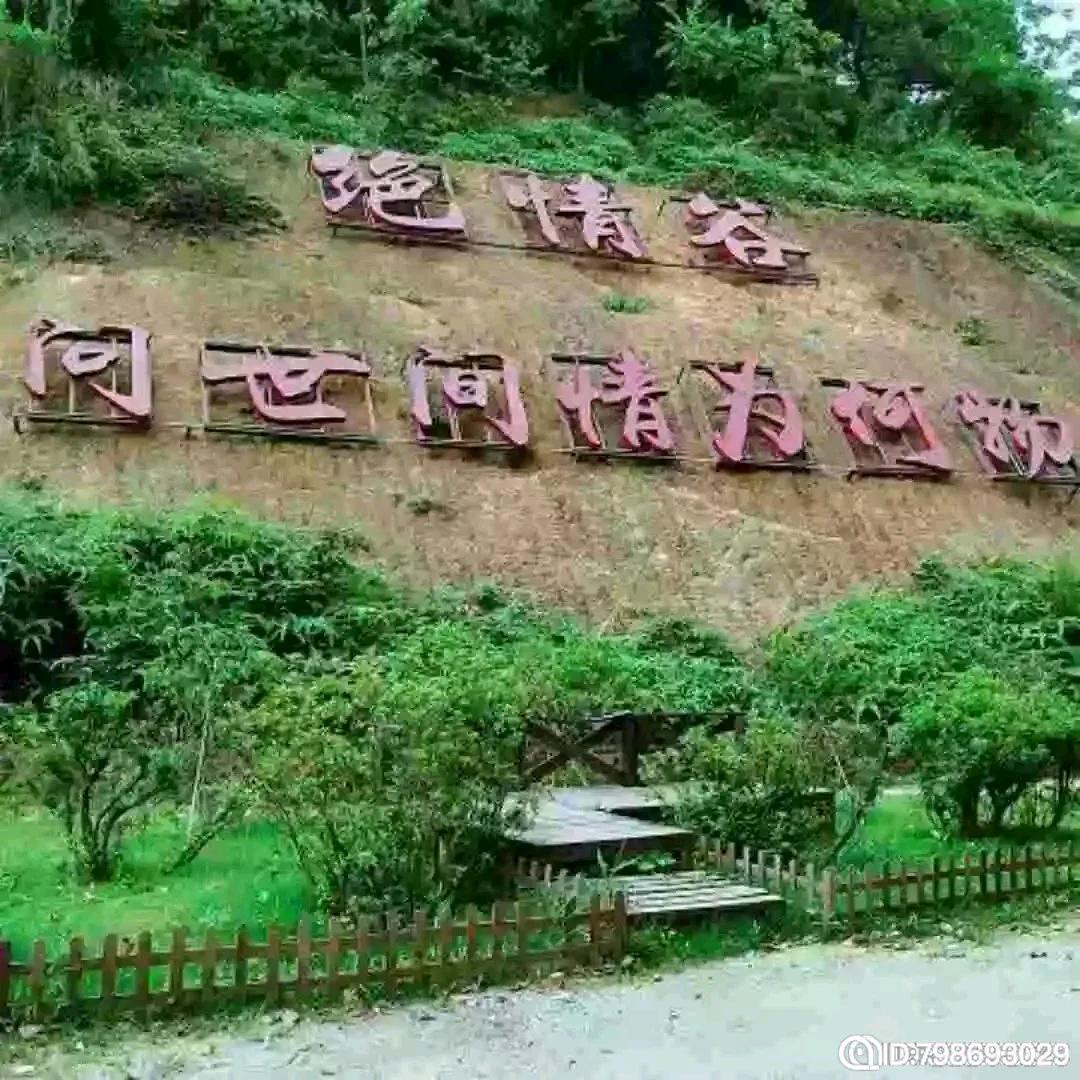 被情所害，真心喂了狗！