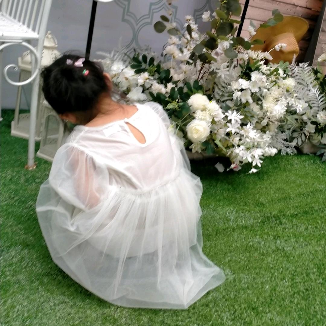 倾听……梦里花落声