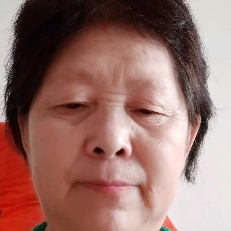 静木兰