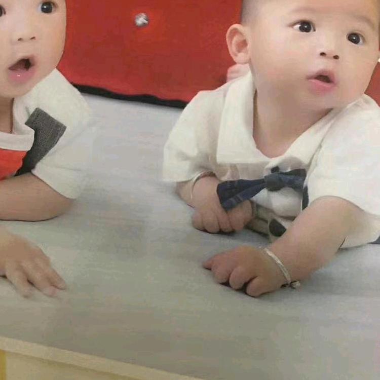 孖宝