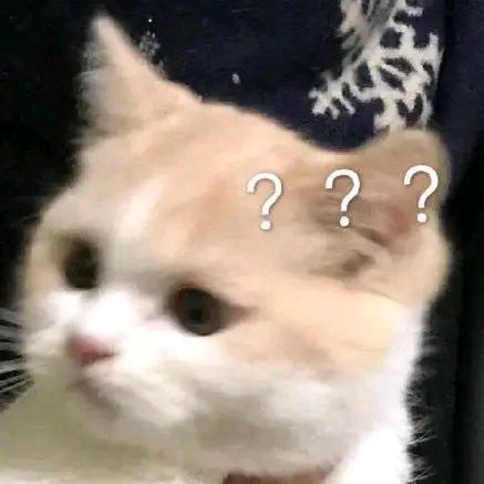 我不李解
