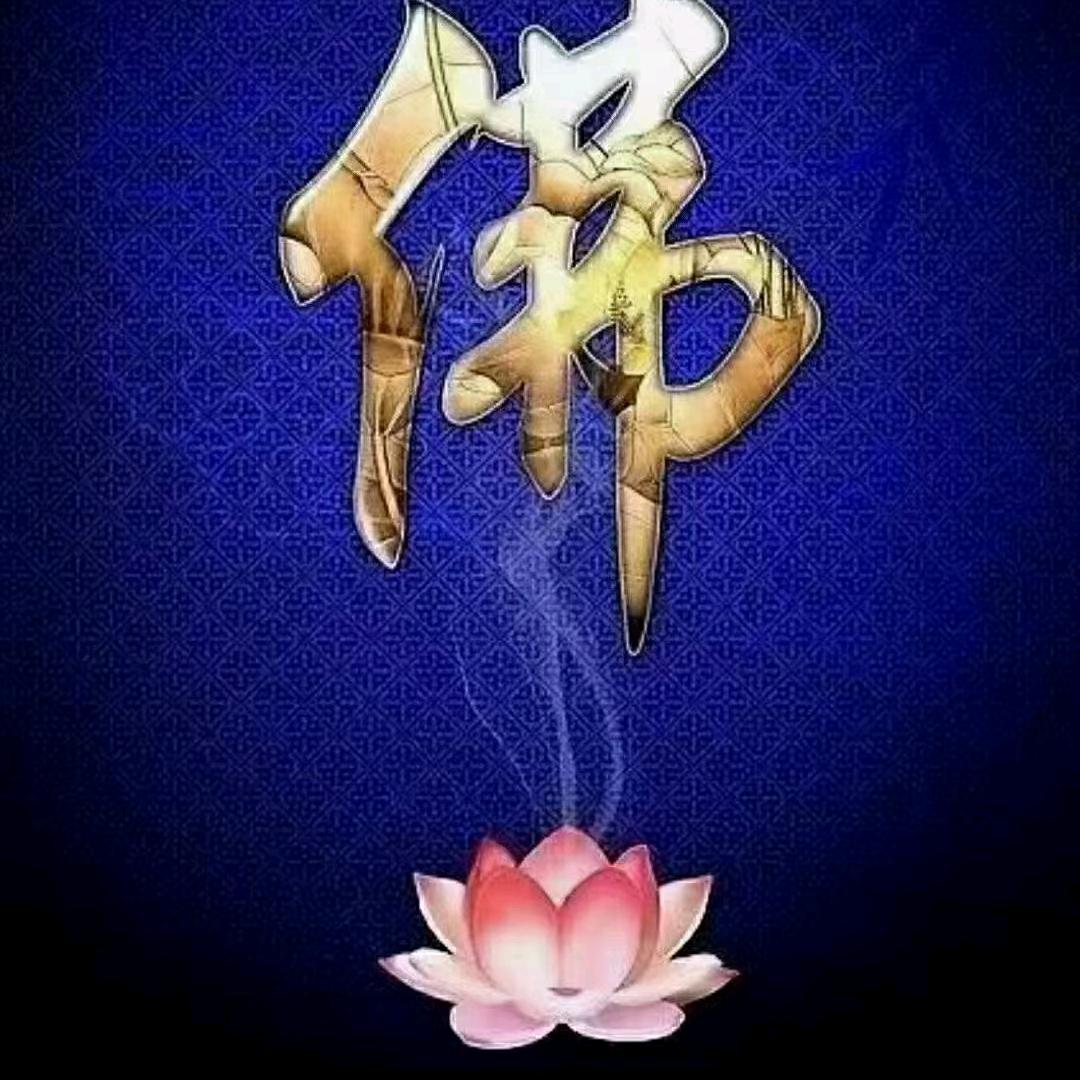 九哥2