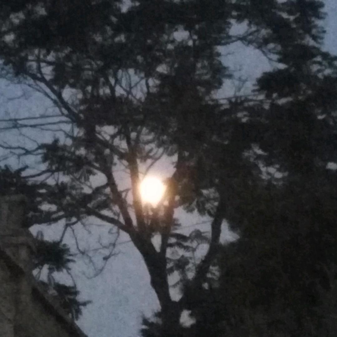 旺旺爱妞妞