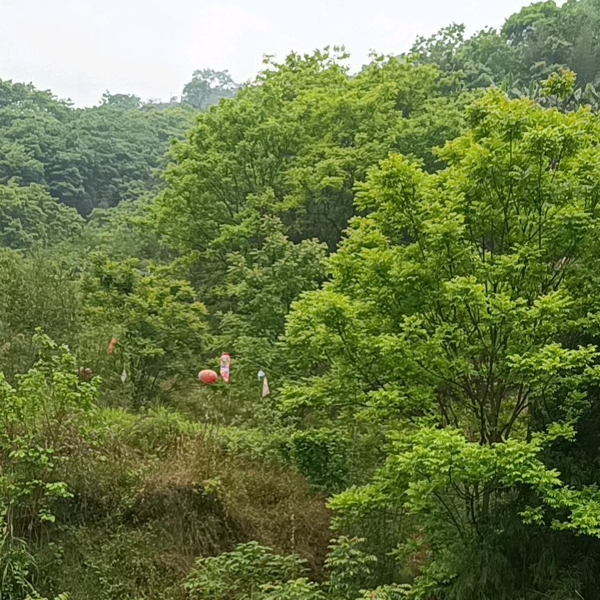 过客而已.