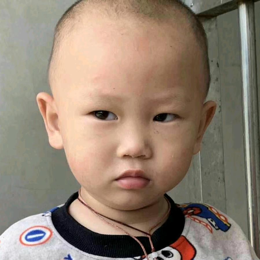 学会无情无心