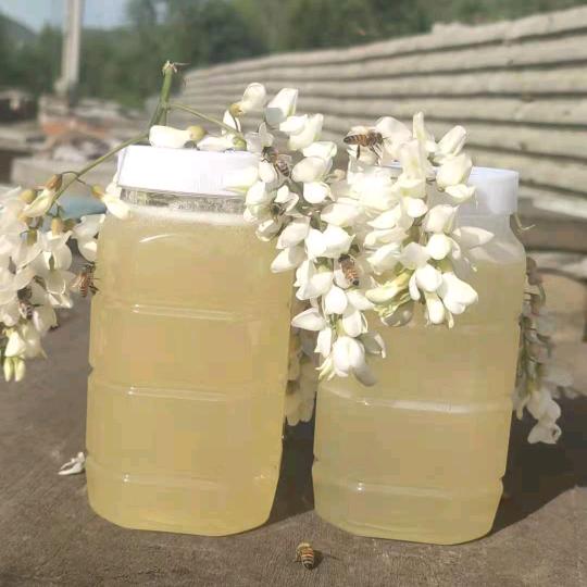 天然蜂蜜都庆红