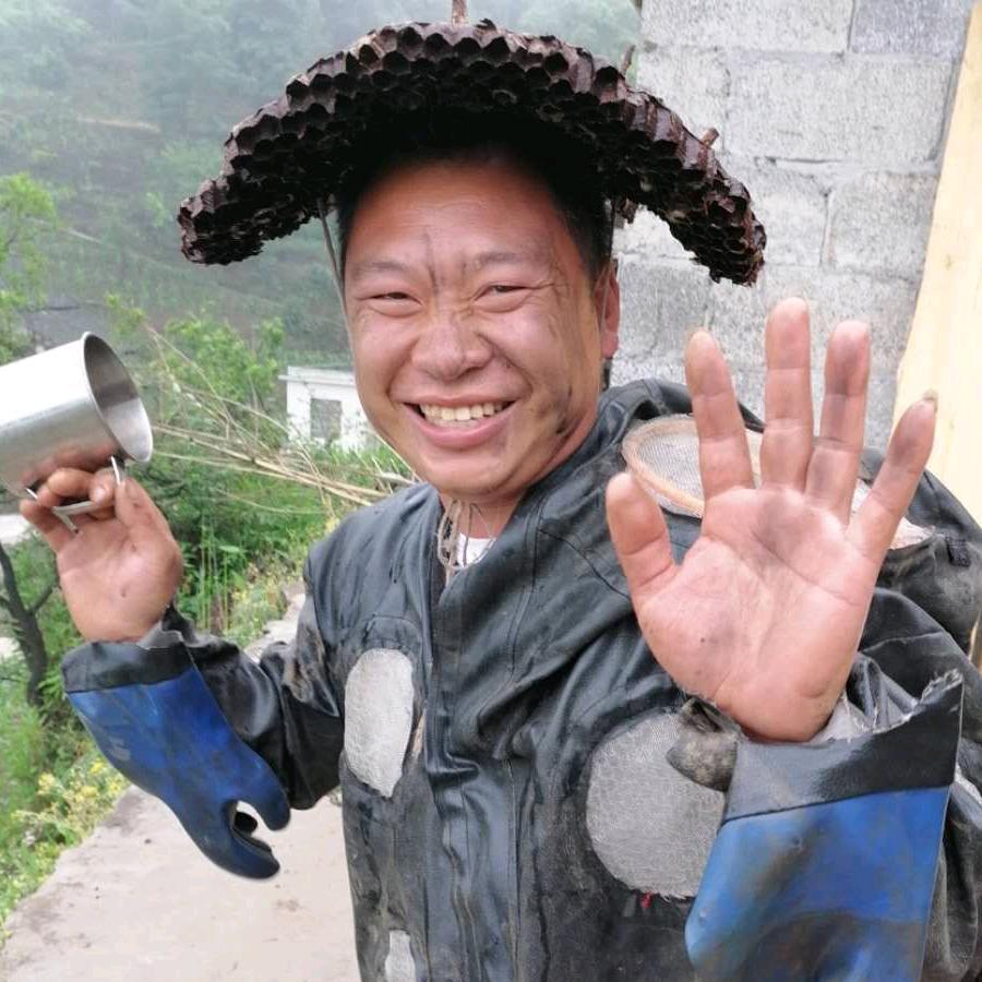 宜宾胡蜂