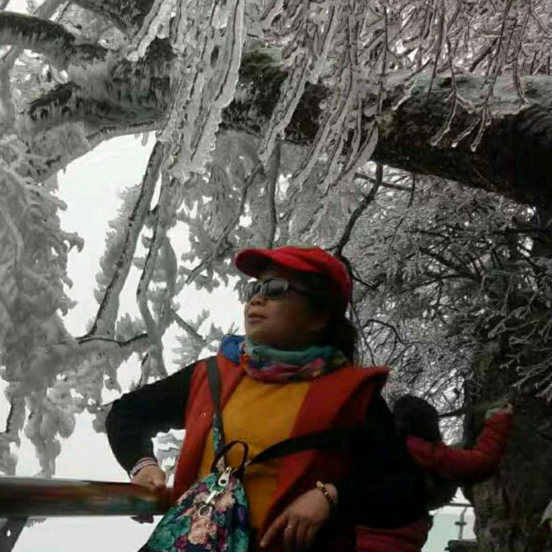 黄榕